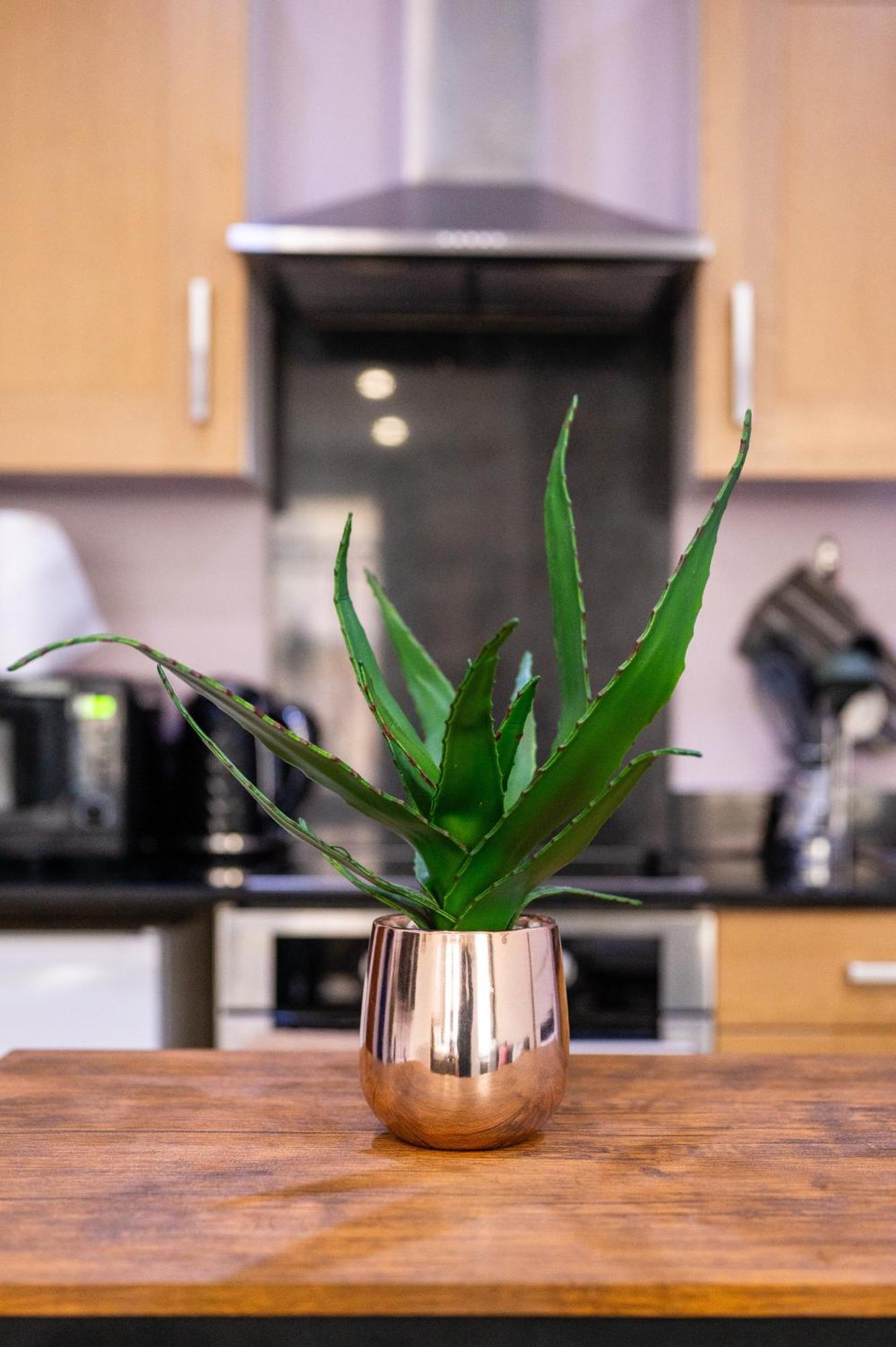 Reef7 - Modern Central Flat, 5 Mins From Beach, Centre And Bournemouth International Centre Екстер'єр фото